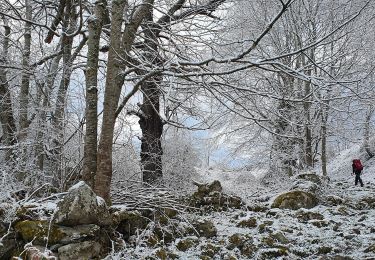 Randonnée Marche Miglos - rocher de MIGLOS  - Photo
