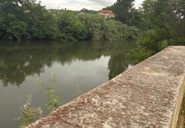 Trail Walking Limoux - Limoux  - Photo