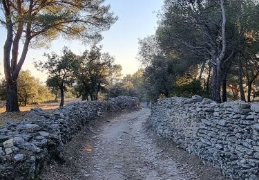 Randonnée Marche Saumane-de-Vaucluse - PF-Saumane-de-Vaucluse - Marculy - Piste des Fayardes - DD  - Photo
