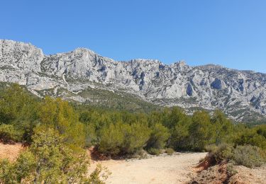 Trail Walking Saint-Antonin-sur-Bayon - P.2 aiguilles.francoise.alain.nicoline - Photo