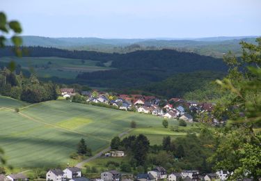 Percorso A piedi Bad Endbach - Wanderweg S - Photo