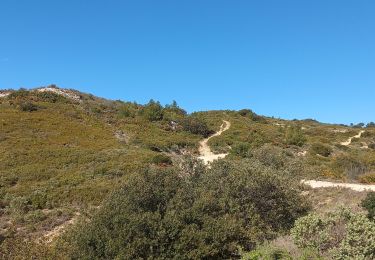 Randonnée Marche Lambesc - Chaîne des Côtes - Photo