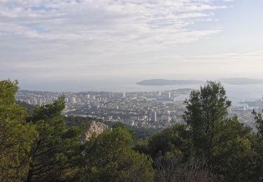 Tocht Stappen Toulon - Boucle Faron - Photo