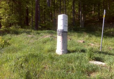 Tour Zu Fuß Oberaurach - Rundweg Oberaurach O 3 - Photo