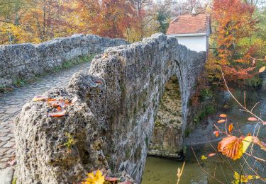 Excursión A pie Villars-sur-Glâne - Tour des trois rivières - Photo