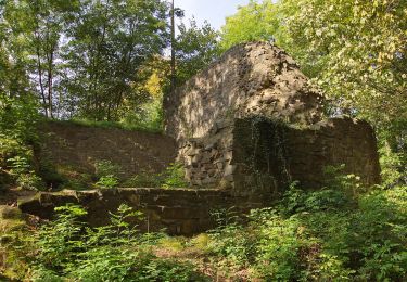 Tour Zu Fuß Gladenbach - [G4] - Rundweg Gladenbach - Reithalle - alter Pflanzengarten - Rachelshausen - Kehlnbach - Kehlnbachtal - Gladenbach - Photo