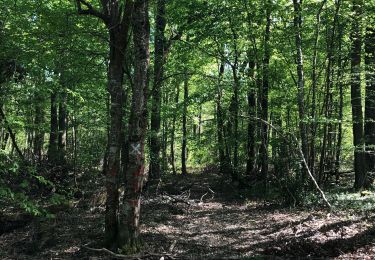 Randonnée Marche Saint-Étienne-de-Saint-Geoirs - DR-confiné-lesayes-1 - Photo