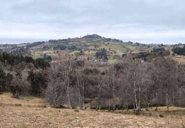 Tocht Stappen Peyre en Aubrac - le Roc de Peyre - Photo