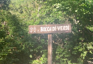 Percorso Marcia Vivario - Vizzavone Col de Verde - Photo