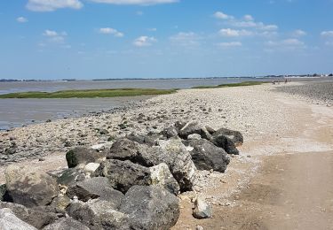 Tour Wandern Port-des-Barques - Port des Barques Ile Madame - Photo