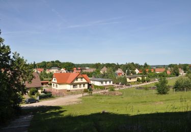 Percorso A piedi Joachimsthal - Grumsin - Chorin - Photo