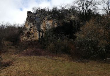 Randonnée Marche Jujurieux - 01-Jujurieux-Neuville-restau-18-7km-440m-fev22 - Photo