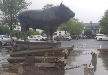 Tour Wandern Saint-Chély-d'Aubrac - Saint Chely l'aubrac à Laguiole  - Photo