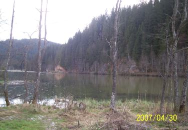 Randonnée A pied Gheorgheni - Lacul Roșu – Valea Oii – sub Poiana Albă (blue stripe) - Photo