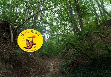 Tocht Stappen Montgé-en-Goële - SityTrail - Montgé en Goële SuperMiniRando - Photo