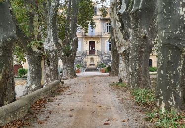 Randonnée Marche Aniane - entre vignes et forêts  - Photo