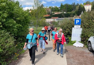 Randonnée Marche Le Puy-en-Velay - Circuit parcours Coeur et Ssnte - Photo