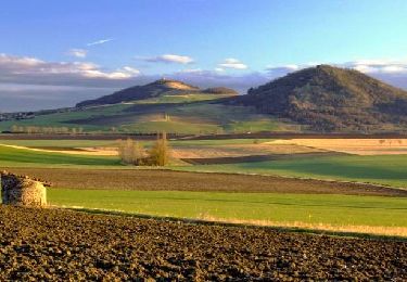 Tocht Stappen Billom - Billom_Deux_Turluron - Photo