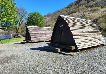 Trail Trail  - rowardennan - Beinglas farm - Photo