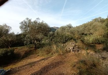 Trail Walking La Valette-du-Var - Le Coudon-08-03-23 - Photo