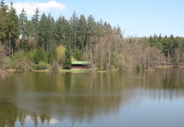 Randonnée A pied Louňovice - NS - Voděradské bučiny - Photo