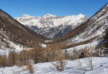 Trail Snowshoes Puy-Saint-Vincent - le vallon de Narreyroux - Photo