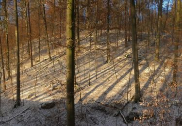 Tocht Te voet Onbekend - Stuttgarter Rundwanderweg - Photo