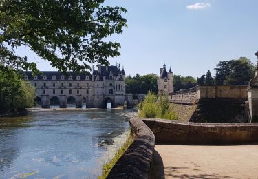 Excursión Senderismo Chenonceaux - jardins de Chenonceaux  - Photo