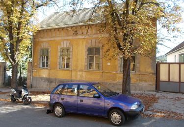 Percorso A piedi Szekszárd - Benedek-szurdok tanösvény - Photo