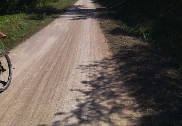 Tocht Wegfiets Villeurbanne - 69 vélo lyon - Photo