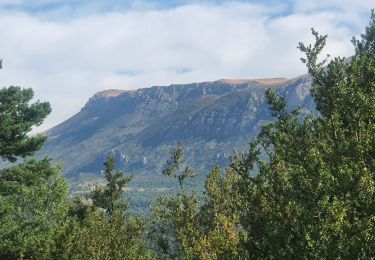 Tour Wandern La Palud-sur-Verdon - 01-08-2023 Tour Cime de Bardin  - Photo