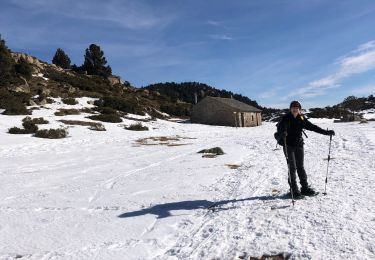 Excursión Raquetas de nieve La Llagonne - 20230216 petite boucle raquettes Avellans - Photo