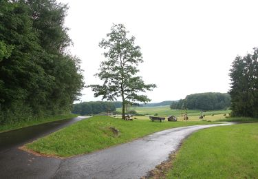 Tocht Te voet Bad Endbach - Wanderweg E12 / Bottenhorner Heide - Photo