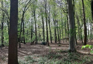 Tour Zu Fuß Torhout - Spookwegelwandeling - Photo