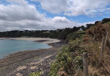 Tour Wandern Tréveneuc - Tréveneuc Chapelle Saint-Marc - GR34 Plage de la Banche - 24.8km 420m 5h35 (40mn) - 2024 07 03 - Photo