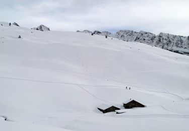 Tour Skiwanderen Samoëns - 2025-01-30 Sortie Ski de Rando Col de la Golese - Photo