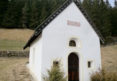 Percorso A piedi Valdaora - Lottosteig - Photo