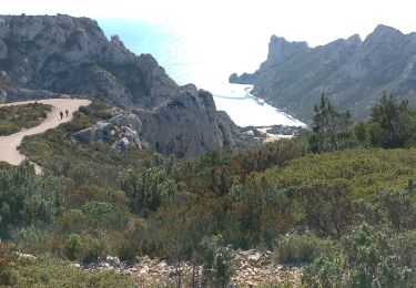 Excursión Senderismo Hyères - Les calanques titou Ninou les 3 arches - Photo