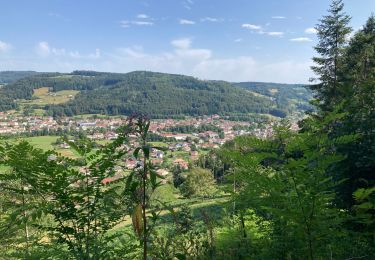 Trail Walking Le Val-d'Ajol - Val d’Ajol  - Photo