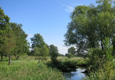 Excursión A pie Bocholt - Smeetshof Oranje bol - Photo