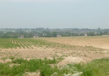 Trail Walking Jodoigne - HT St Pierre - Photo