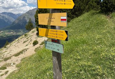Trail Walking Le Noyer - Col du Noyer, Pic du Tourneau - Photo