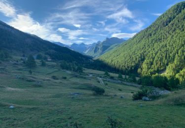 Trail Walking Ceillac - Tête de la Cula - Photo