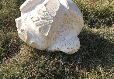 Randonnée Marche Gumiane - le Merlu - Photo