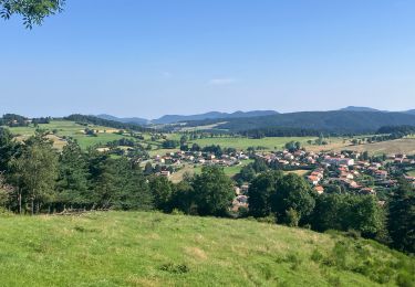 Trail Trail Laussonne - Plateau de Fraysse(17K 450D+) - Photo