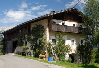 Percorso A piedi Gemeinde Rinn - Rundwanderweg Poltental - Photo