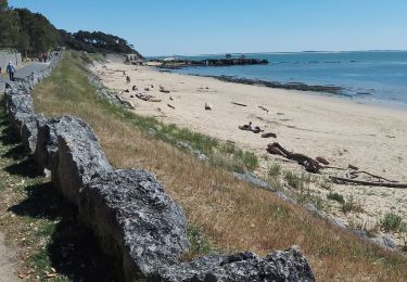 Tour Wandern Saint-Palais-sur-Mer - randonnée saint Palais - Photo