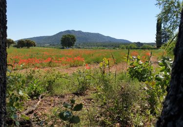 Tour Wandern Jouques - Jouques  - Photo