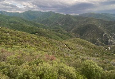 Randonnée Trail Céret - Ceret á pic de garces - Photo