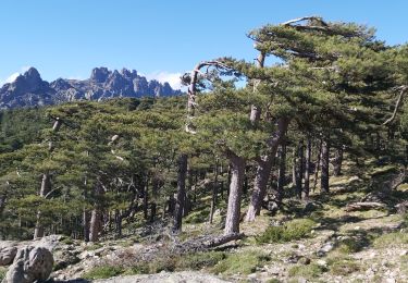 Trail Walking Quenza - Trou de la bombe - Photo